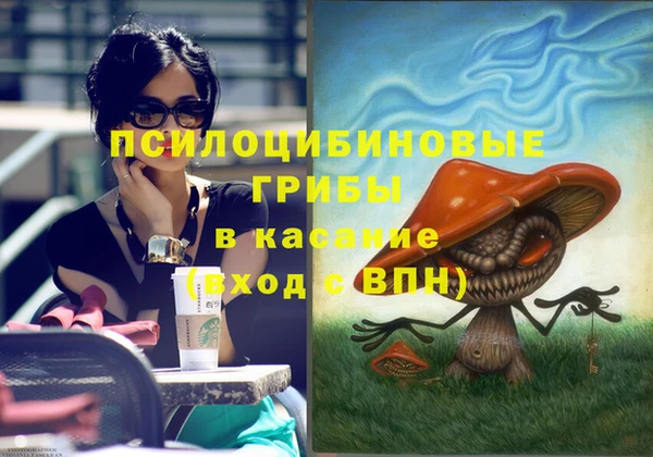 каннабис Корсаков